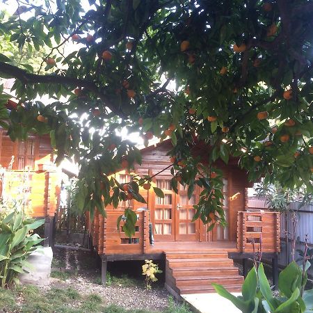 Cottage house New Athos Extérieur photo