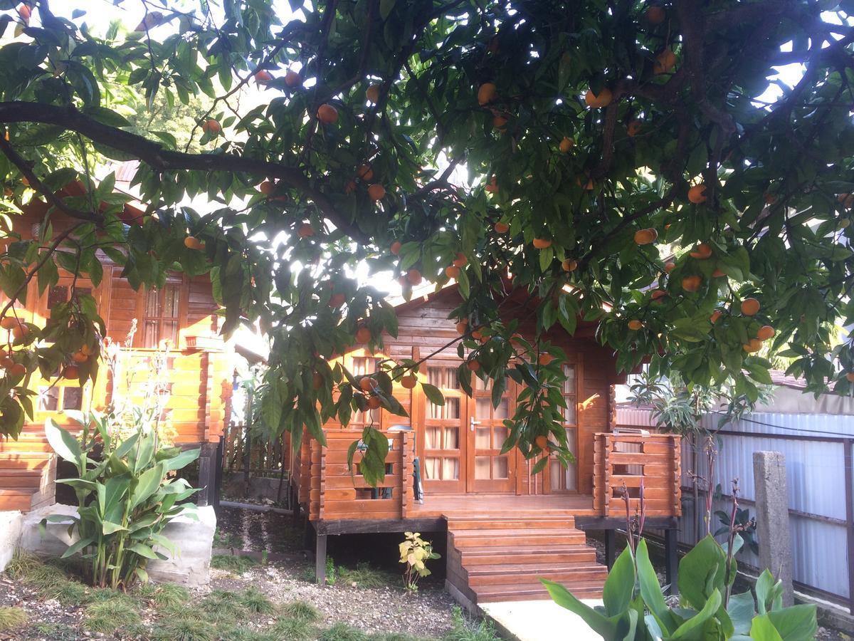Cottage house New Athos Extérieur photo